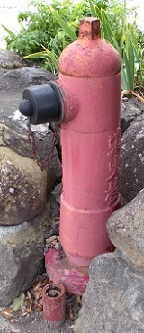 �����s���ΐ�