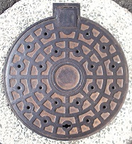 ���{�s�}���z�[��