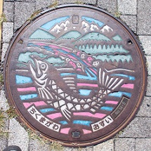 �ˑq���}���z�[��