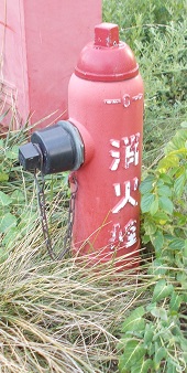 ���������ΐ�