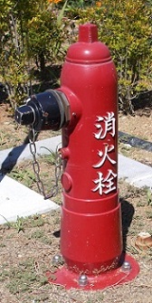 �L�쒬���̏��ΐ�