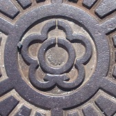 �V���s�}���z�[��