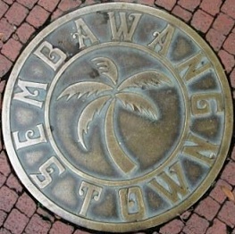 �V���K�|�[���}���z�[��