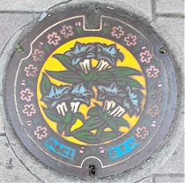 �쐼�s�}���z�[��