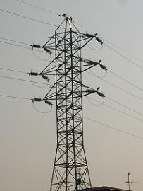 ���s�S��