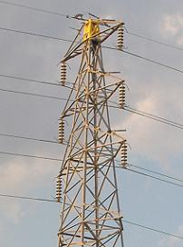 ���s�S��