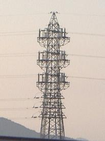 ���s�S��