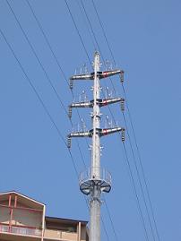 ���s�S��