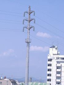 ���s�S��