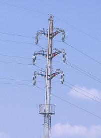 ���s�S��