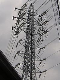 �F�{�s�S��