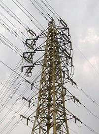 �F�{�s�S��