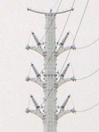 �F�{�s�S��