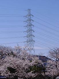 ���s�S��