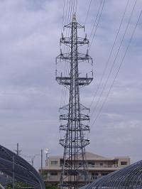 �Č��s�S��