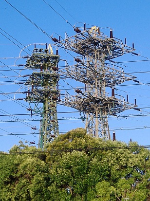 �F���s�S��