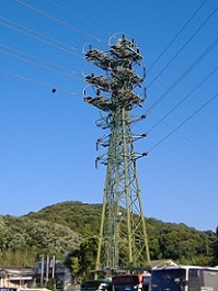 �F���s�S��