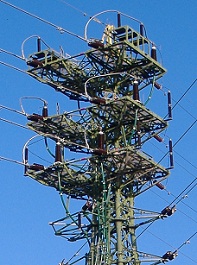 �F���s�S��