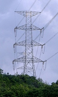 �F���s�S��