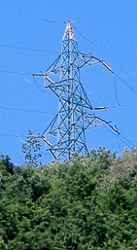 �F���s�S��