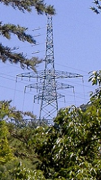 �F���s�S��