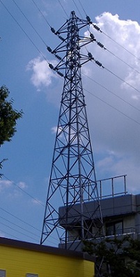 ��㋷�R�s�S��