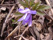 �L�N�U�L�C�`�Q