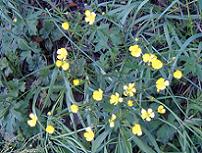 �E�}�m�A�V�K�^