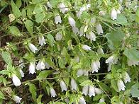 �z�^���u�N��