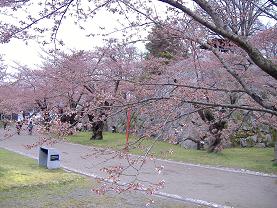 �����隬����