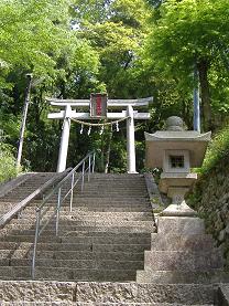 �L�n��א_��