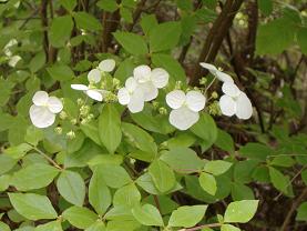 �K�N�E�c�M