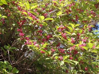 ���u�E�c�M