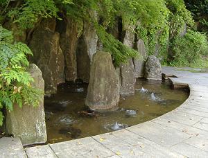 �Y�_�򌹍L��