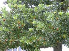 ���}����