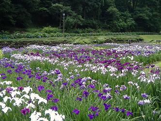 ���炳���X�ь���