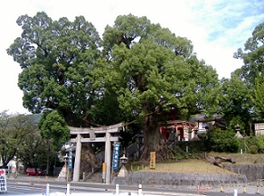 �k���_��