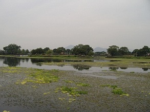 �]�ÌΌ���