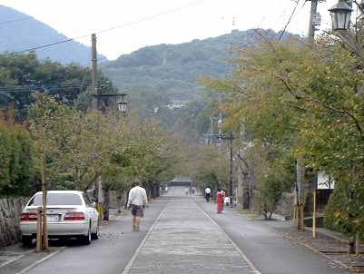 �{�����Q��