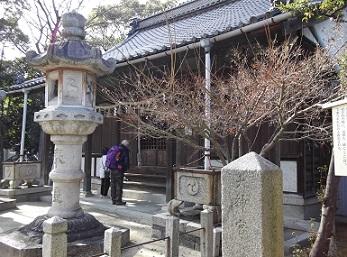 ���i�_��