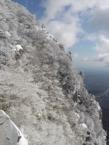 ��ݏ��x���[�v�E�F�C