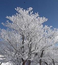 ��ݏ��x�R��