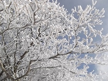 ��ݏ��x�R��