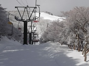 ��ݏ��x�ό����t�g