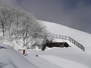 ��ݏ��x�ό����t�g