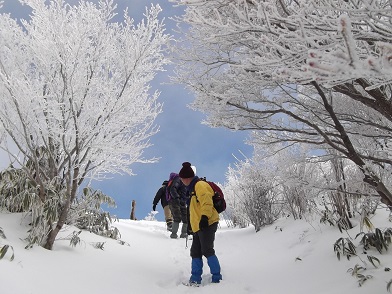 ��ݏ��x�ό����t�g