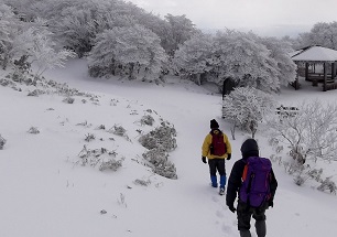 ��ݏ��x�ό����t�g