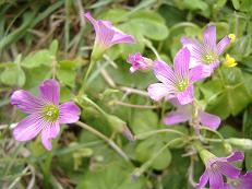 �����T�L�J�^�o�~