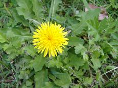 �Z�C���E�^���|�|