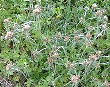 �`�`�R�O�T